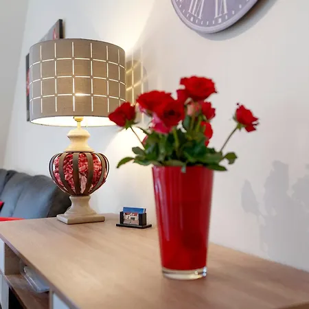 Landhuis De Charme Climatise Kintzheim